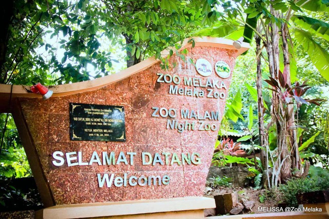 Sun Inns Hotel Ayer Keroh Kültér fotó